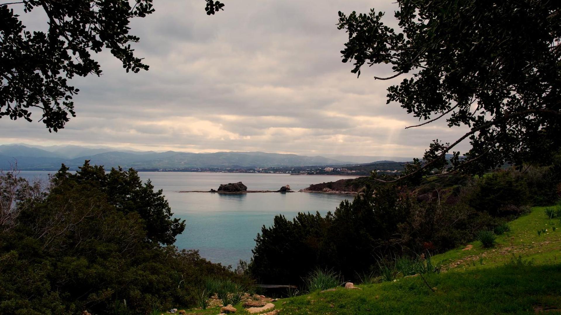 Path Latchi Beachfront Apartments Εξωτερικό φωτογραφία